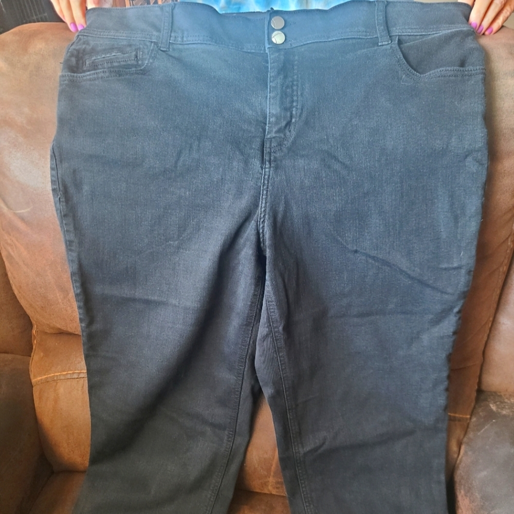 Lane bryant capri